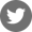 Twitter Icon